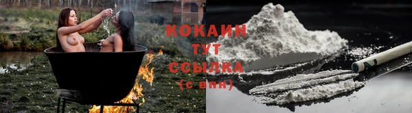 прущие крисы Аркадак