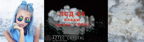 прущие крисы Аркадак