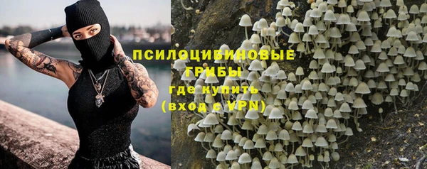 стаф Армянск