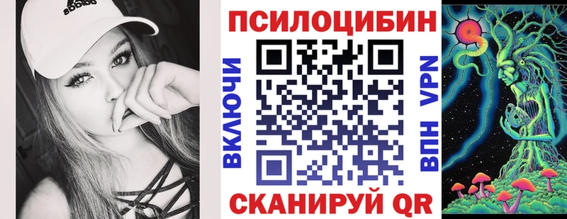Галлюциногенные грибы Psilocybine cubensis  Пошехонье 